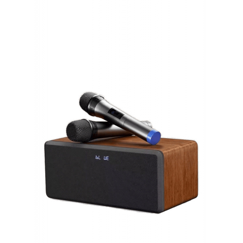 Family KTV Audio KTV Conexión TV Canto Karaoke Máquina todo en uno Hogar Pequeño micrófono inalámbrico KSong