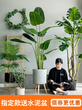 �Gֲ�٘������B������ֲ�����Ԕ[���p���҃ȿ͏d�b��쾰�F�zĵ��