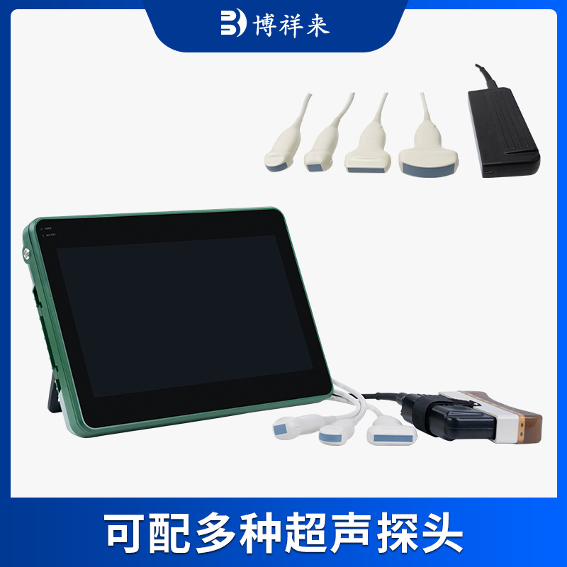 猪用卵泡检测仪 母猪卵巢发育检测B超机 批次化管理用B超仪