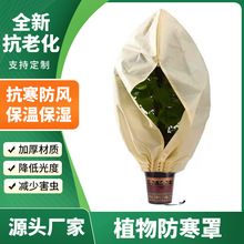 �羳ֲ�������Խ���������o���}�Q���ռ{��ͥԺ���仨�ܱ��o��