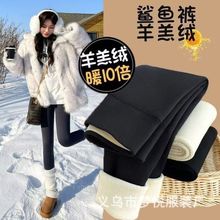 【闪购直供】秋冬加厚羊羔绒保暖加绒鲨鱼裤外穿高腰收腹显瘦打底