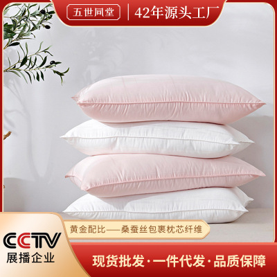 桑蚕丝枕  双人蚕丝枕头50蚕丝枕芯 单人源头工厂礼品枕批发|ms