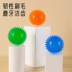 アマゾンの子犬のおもちゃのボールは弾力的に音を立ててボールを噛んでもだめです。