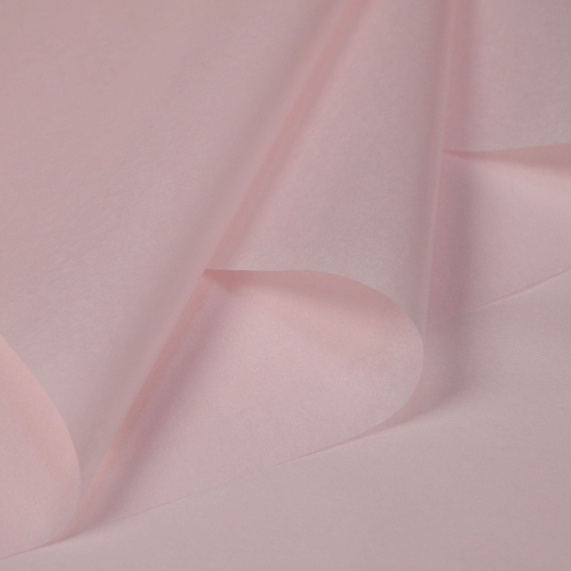 단색 구아슈 36 사진