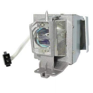BL-FP195A SP.78H01GC01 Optoma Outcode Projector Lamp HD29Darbee