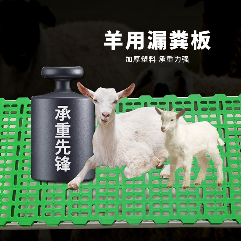 equipo de cría de ovejas suizanas placa de drenaje de estiércol para ovejas soporte de fibra de vidrio tipo 600 cama de ovejas de plástico especial para granja de cría