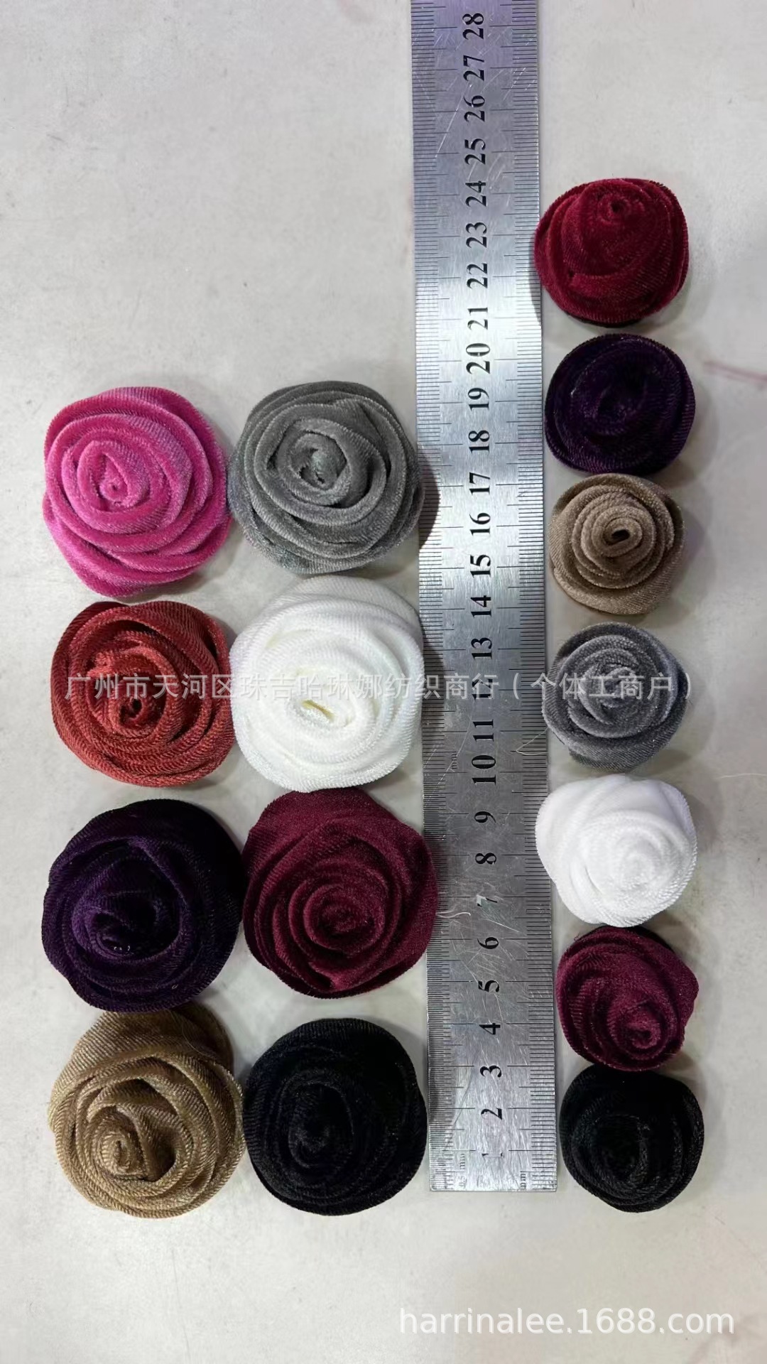 微信图片_20240928122737