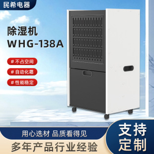 Wholesale Industrial Dehumidifier Whg-138A Basement Warehouse High-Power Moisture Absorber Household Dehumidifier