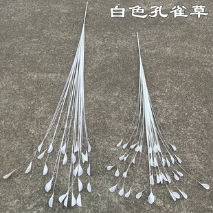 ��ɫ��ȸ�ݷ��滨�S�� ��ɫ�JȔ ��Y��ˇܛ�b����bٻ����l