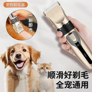 ����ꌣ����Ƽ�����؈���_ë�޼����o������ë���l늄���ë��