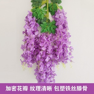 �羳�����b����ٻ�����ͥԺ���껨�������~���������ٻ��S�����l
