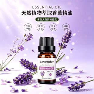 44��羳��ֲ��޹�²�õ�徫����޹Ϟ�T����DIY�ֹ�����ˮ�{��