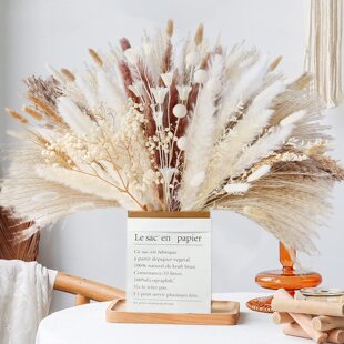 Amazon wholesale small reed everlasting flower bouquet rabbit tail grass pampas ornaments pampas grass reed dried flower bouquet