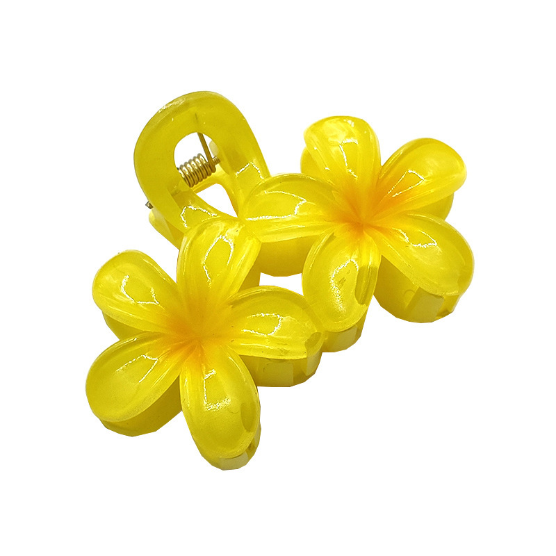 国境を越えたアマゾンの卵の花がグラデーションの花のキャンディー色の紫荊花の後頭部をつかんでサメの花を挟んで髪を伸ばします。|undefined