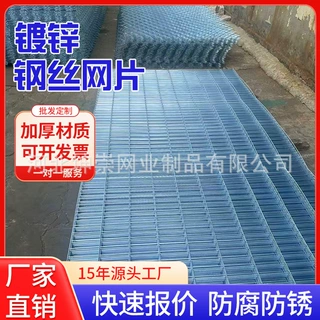 镀锌钢丝网片定制抹灰防裂网外墙保温网粉墙网墙体加强网
