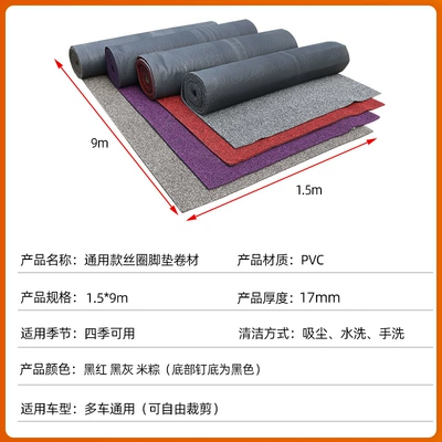 Entrance, Car Coil Carpet Mat, Universal Foot Pad