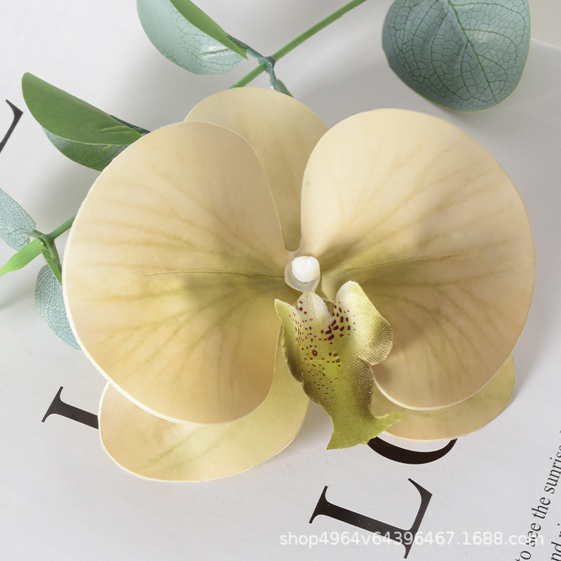 Película blanca Phalaenopsis flor cabeza pétalo simulación flor accesorios tocado horquilla diy flor decorativa de boda hecha a mano