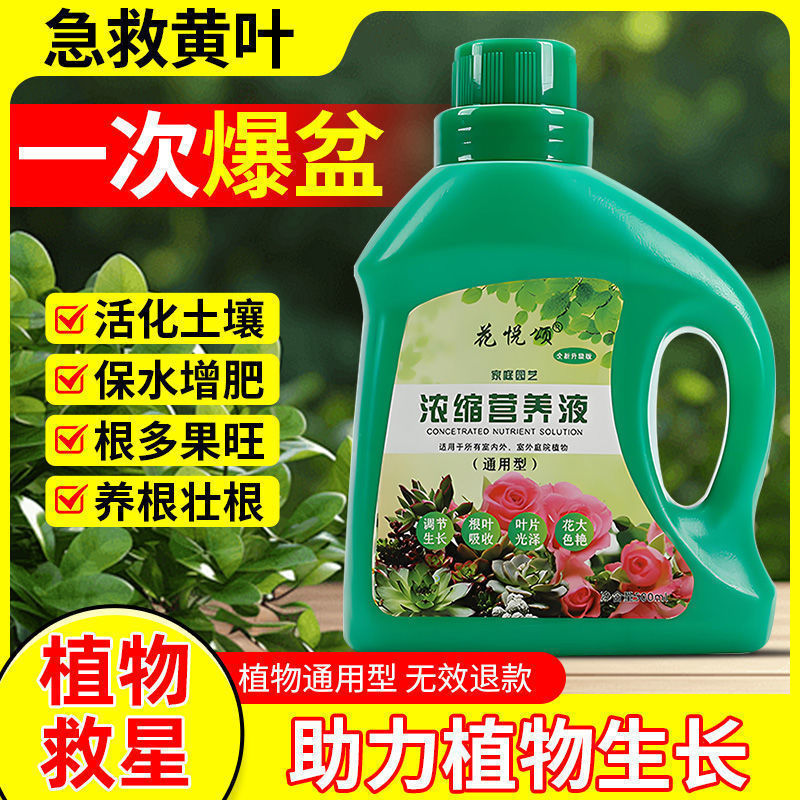 植物養液、一般家庭用花栽培、ポトス水耕栽培、多肉植物鉢植え、金のなる木液体肥料|undefined