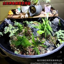 Ϸʯشɏo˯ɏɻ~XݽXݻһ~ɏ辰