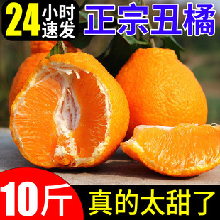 �Ĵ��ҰҸ̳�˹ֳ������r����9�����ٽ��Ӯ����r���ˮ������