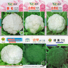 Sl{N ɻ ˈ@rҷN ̨ԻҬԭb