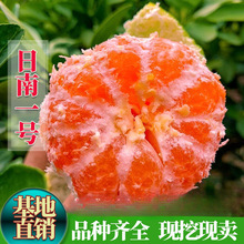 ֱN޽һ̖̽ۘԵƷN̽