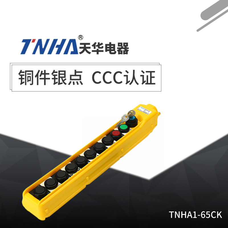 带锁TNHA1-65CK系列防雨型COB起重机用按钮开关 行车控制按钮