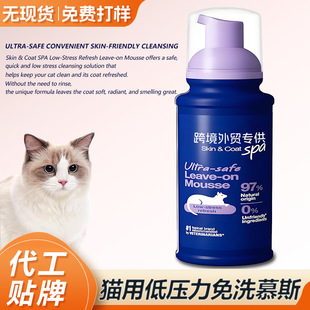 Customized Oem Cross-Border No-Rinse Mousse for Cats, Fully English Pet Dry Cleaning Foam No-Rinse Shower Gel
