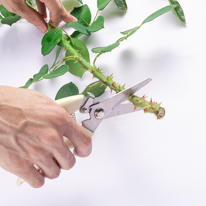 Flores que buscan materiales de jardinería al por mayor materiales de embalaje floral florista floral envasado floral cortadora