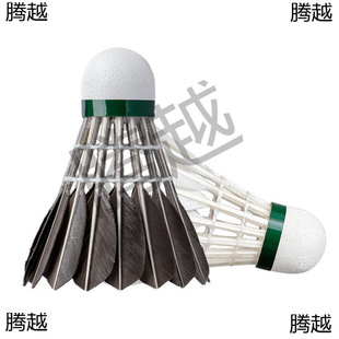 ���Sֱ�N��ë��12ֻ�b6���b�ʹ���ë���ɫ��ɫ�W��Ӗ����ë��