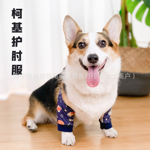 �����o��»��P�����o�׷������K�o�������oϥ���o�׿羳����