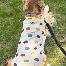 大狗宠物衣服夏天薄款狗狗背心用品夏季透气柯基中大型犬边牧金毛