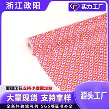 源头工厂纺粘无纺布时尚卡通印花覆膜创意手提袋家居家纺用pp纺粘