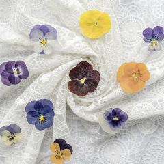 角のすみれの乾いた花の押し花のネットの赤い色は顔を貼って目の角を飾って花びらを貼って化粧します。