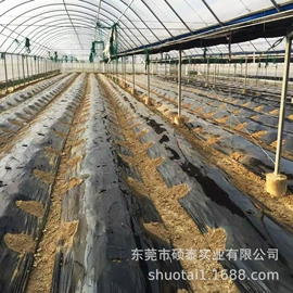 农用薄膜;其他塑料薄膜;降解薄膜