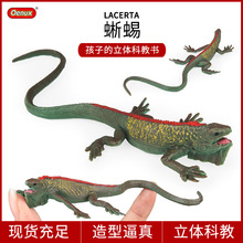 儿童认知仿真动物模型玩具实心蜥蜴刺猬松鼠兔子浣熊蚓螈树蛙草蜥