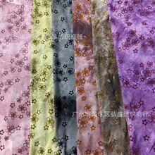 �W������ֲ�q��Ⱦ�����n��W��Խ��ӡ�����Q����