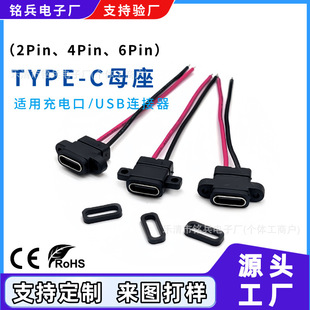 type-c ����ĸ���� 2P��������Դĸ�^ ��ˮTYPE-Cĸ�������b��