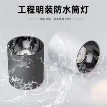 IP65��ˮ���bledͲ�����ȵ���T�^¶̨����ԡ�ґ��������ʽ���