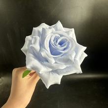 滨õ廨^Y·10cmʯõ廨DIYbٻ