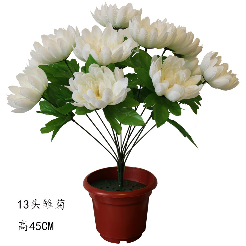 Grave sweeping chrysanthemum bundle simulation daisy on the…