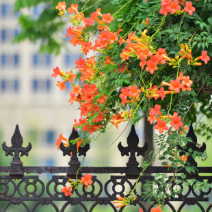 �ͺ�������������ֲ���Ϙ������̨ͥԺ�����Ԯ���̻�����������