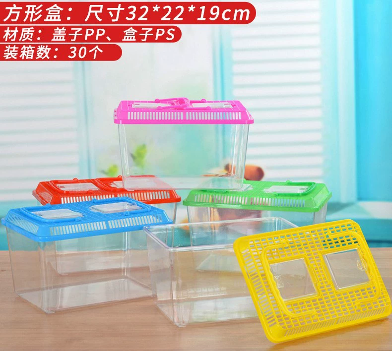 Transparent plastic pet box / small aquarium, portable ventilated tank, multiple sizes 10×7.5–39×28×17 cm