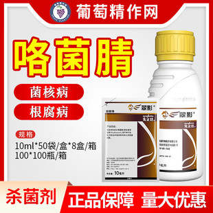 �����_ ��Ӱ�m���r2.5%�������N���������˲��N�Ӱ���������