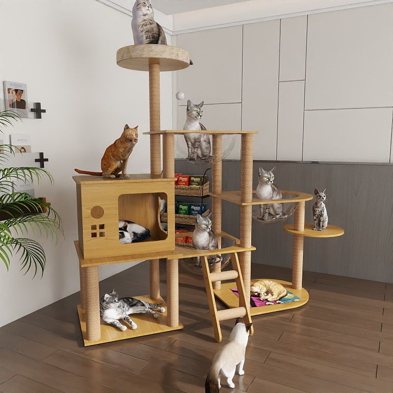 4b2846a7-d592-4a38-8b3c-1620c100d6e1.jpe