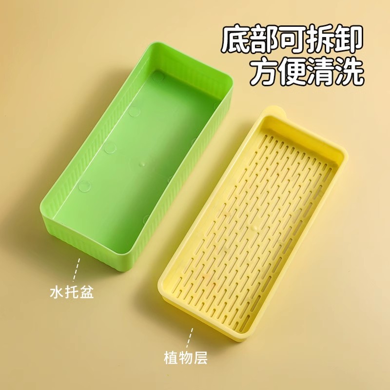 hierba de gato hidropónica, menta de gato, semillas de hierba de lana en maceta sin suelo, refrigerios para gatos perezosos y cachorros