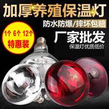 猪用保温灯养殖取暖灯小鸡烤灯保温灯泡 仔猪取暖灯泡猪场养殖