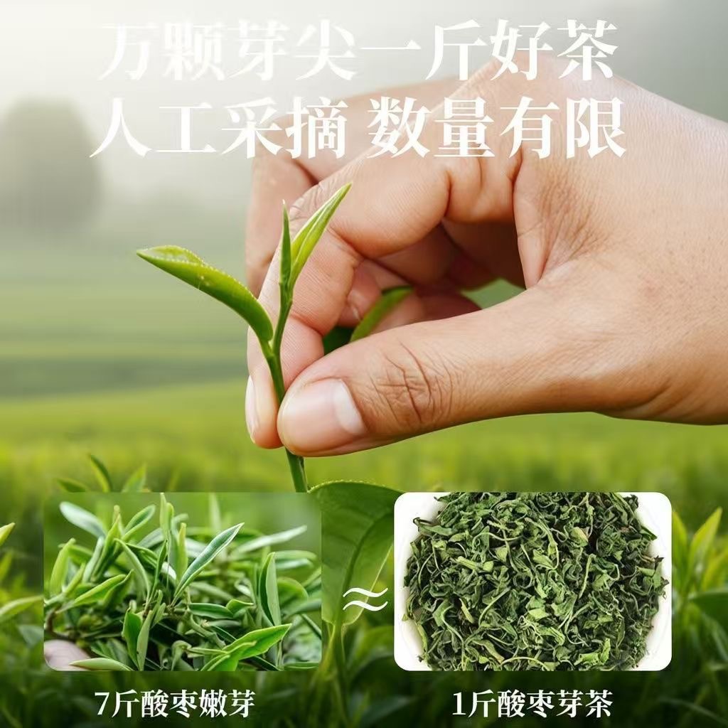 Sour Jujube Sprout Tea Suan Zao Ya 50g Dried Herbal Tea for Daily Hot Brewing specifications