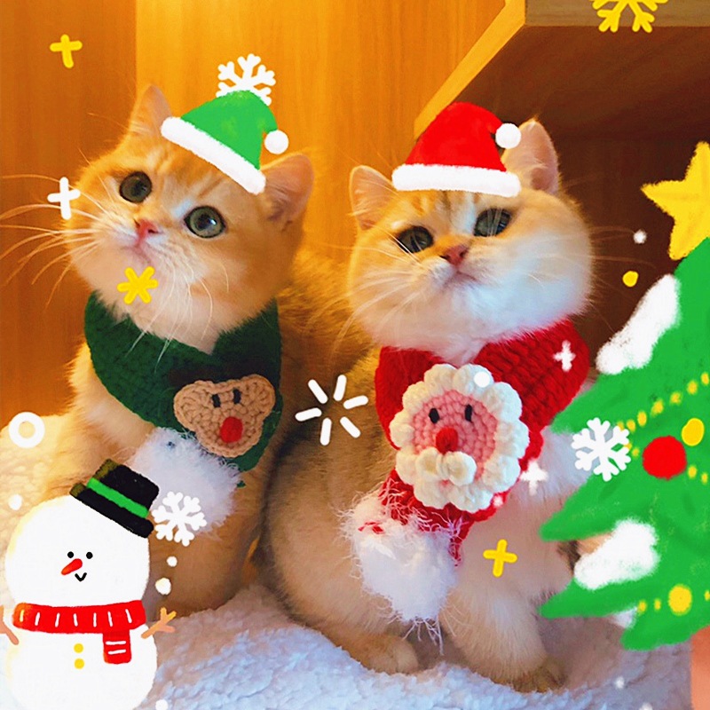 IMG_6769(20211208-184037)_副本