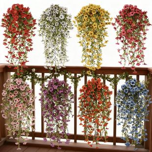 �羳���_�m�ȼ����ٗl�ڒ��ڵ��@����b��ٗl�ɻ����R�d